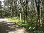 1.50 Acres for sale Rs 3,00,000/- per cent