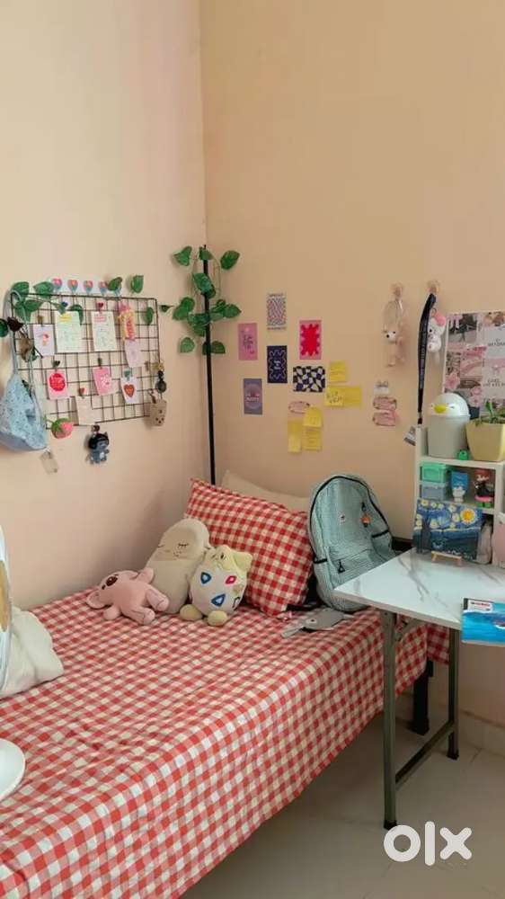 Looking for a flat mate female