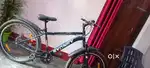 SYDNEY cycle