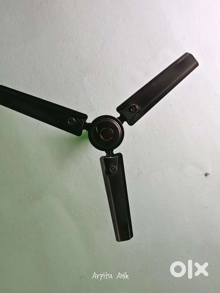 Celling Fan