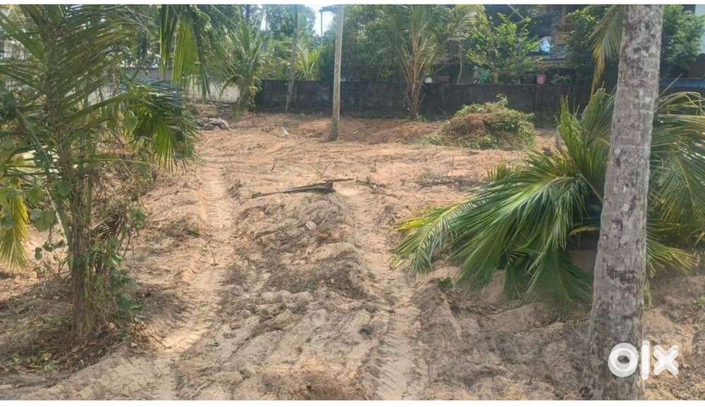 14 cent plot for sale