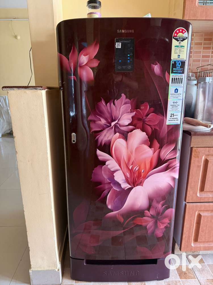 Samsung Curd Maestro - 181 ltrs - 4 star refrigerator