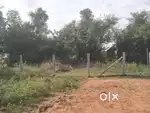 Maligaimedu, mannargudi thaluka,Thiruvarur district.