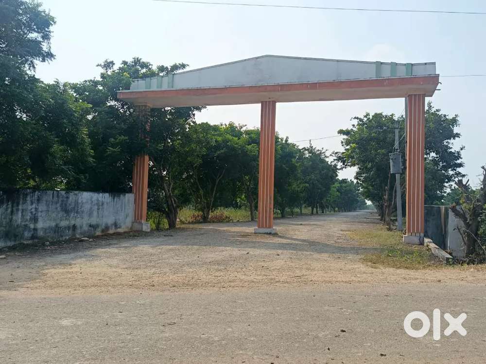 DTCP ఆమోదిత లేఅవుట్ – వినుకొండ 100 గజాలు కేవలం ₹3 లక్షలు