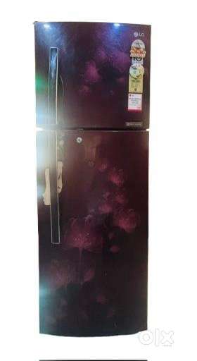 Double Door LG Refrigerator