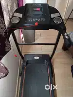 Cockatoo Treadmill