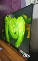 Inbuilt Set-up Box 43 Inches under warranty Cash On delivery