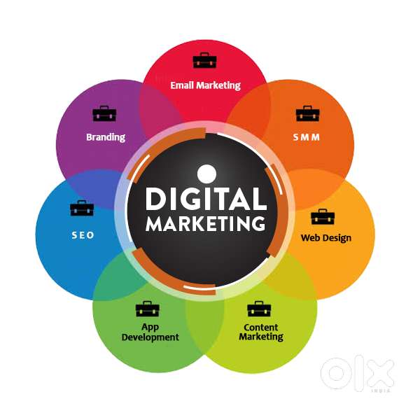 Looking for digital marketing assistant in IT Company in Neemrana