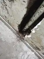 Pest Control warranty work
