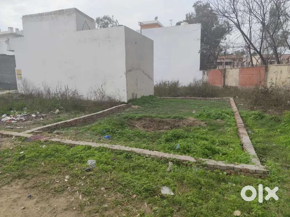 Plot For Sale in Shalimar Avenue Kapurthala Punjab