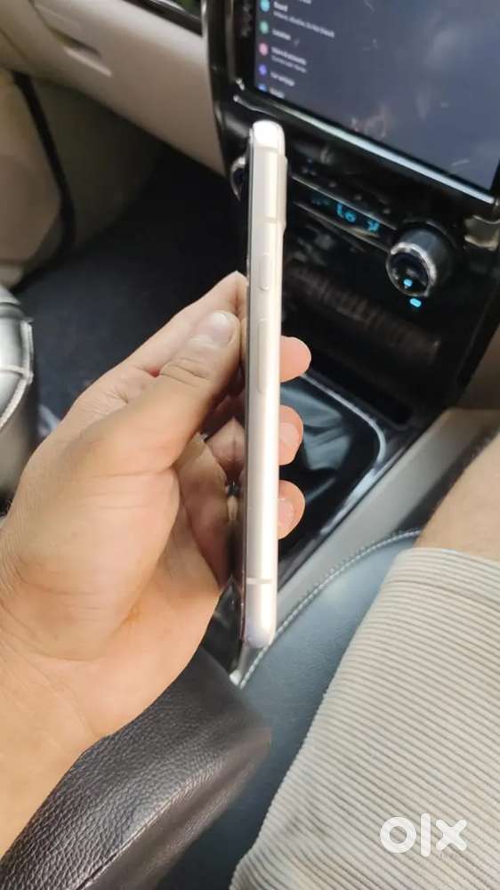 A1 condition 1year old
