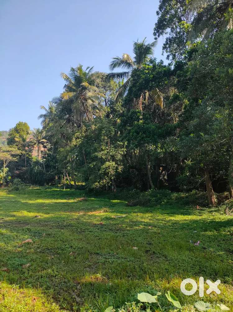 LAND FOR SALE - 4.25 ACRES NEAR MANI