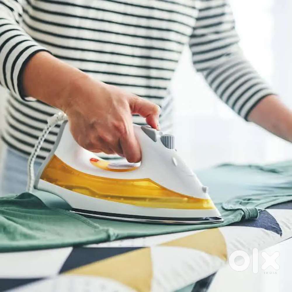 Pressman in Laundry and Dryclean shop