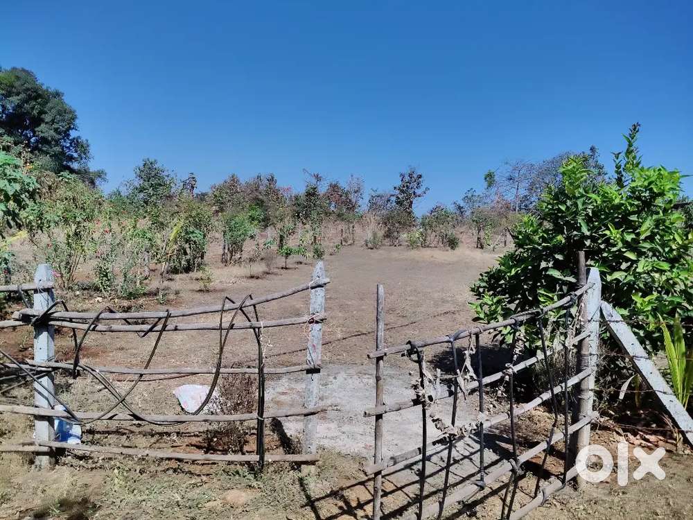 Plot for sale