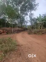 10 cent Housing Plot For sale at Aduthila Payagadi