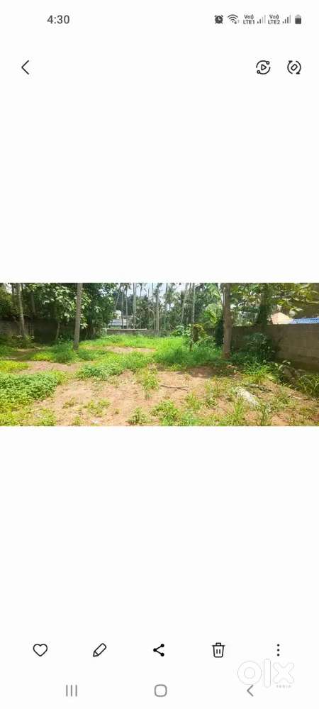 5,6 and 7 cents of land for sale near Koliyoor, Poonkulam.