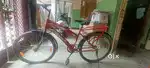 Sele of bicycle