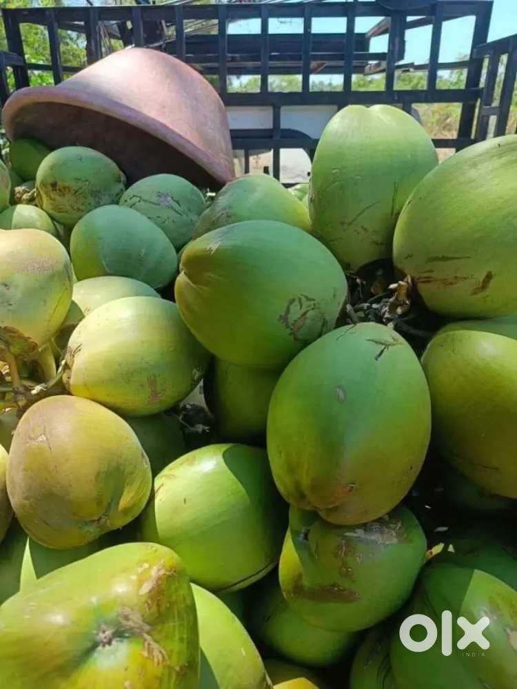 Road side sale bussiness