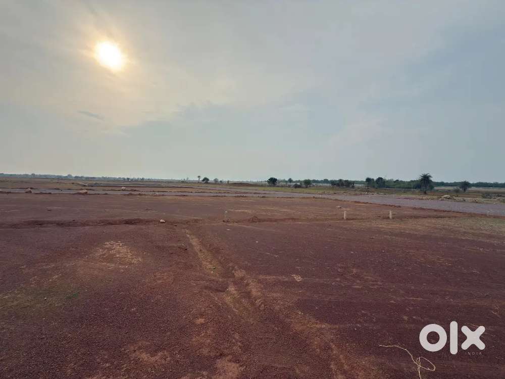 Jamul khedamara chauk