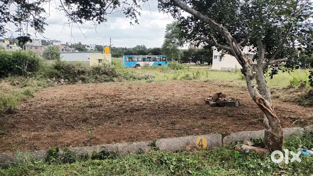Site for sale