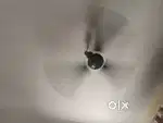 Khaitan fan