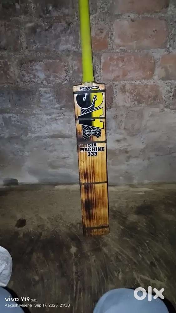 Cricket.bat