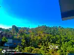 Sell land in good price