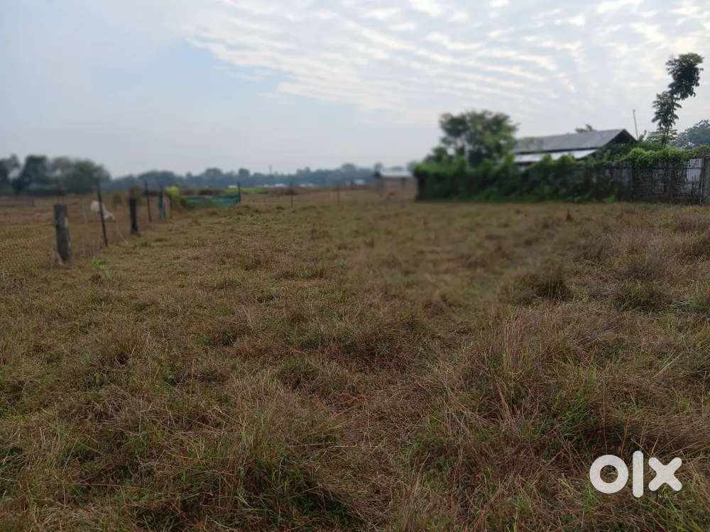 Vacant Plot 1kotha 18 lessa