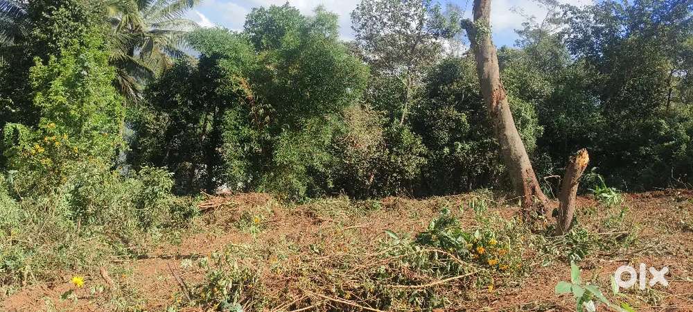 Suitable for Home,Apartment,Home stay etc..