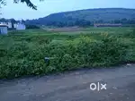 Kheti jamin chahiye