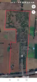farm land- mango coconut farm on statehighway for sale
