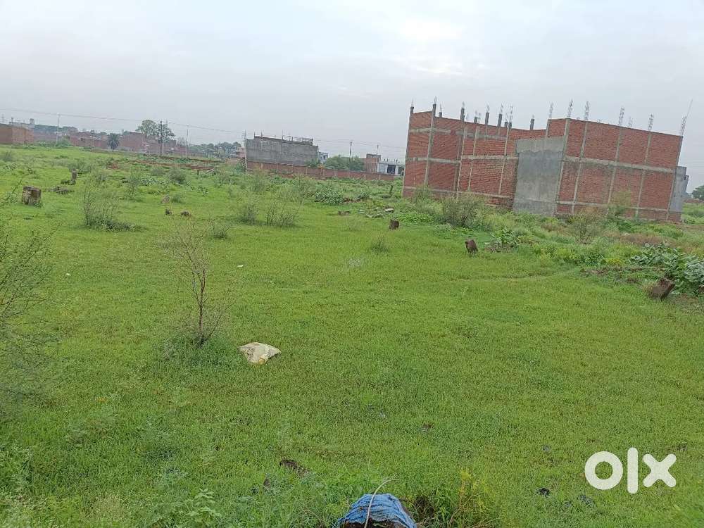 DPS school naini se 1.5 km Ada chauraha se 3 km, leprosy  se 5 km