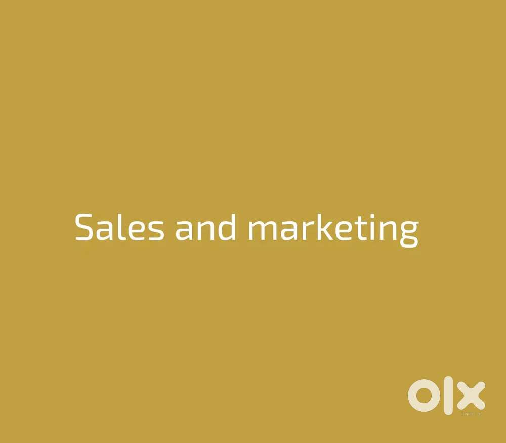 Sales and marketing executive