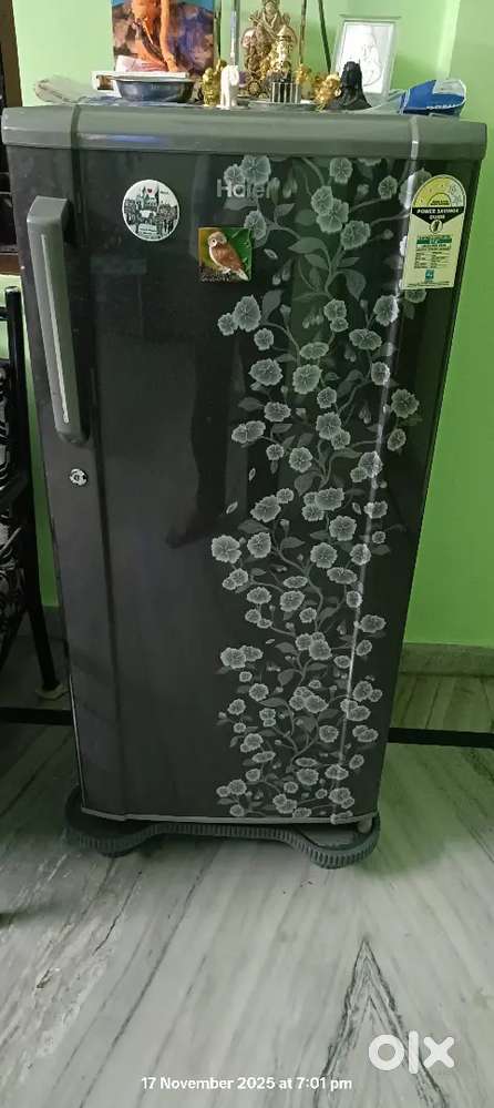 Haier 2.5 years old fridge