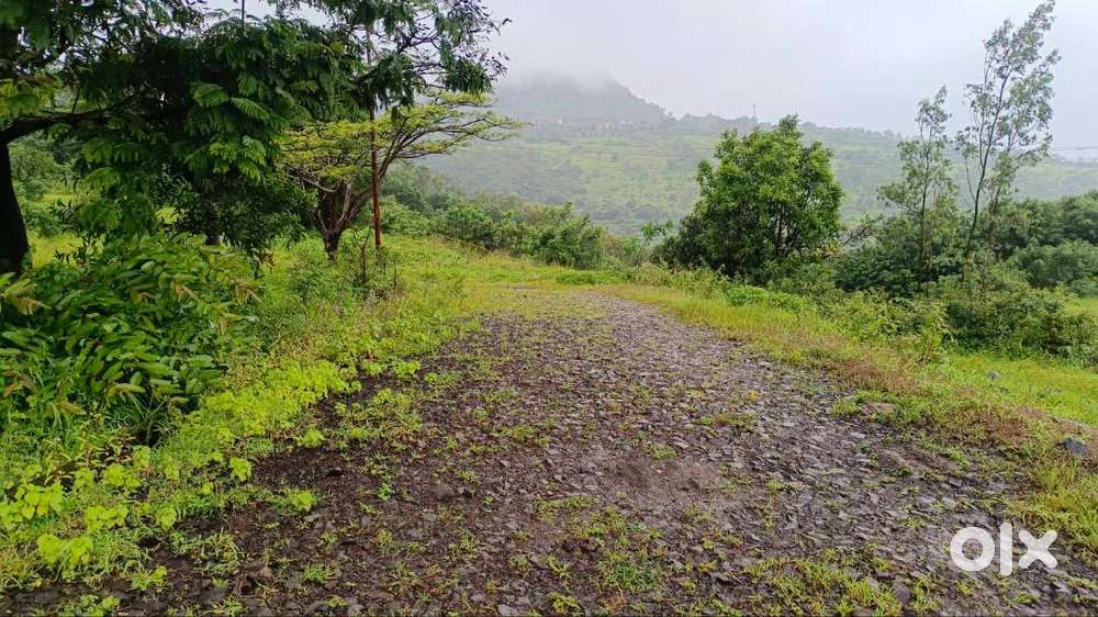 Plots for Sale in Panhala