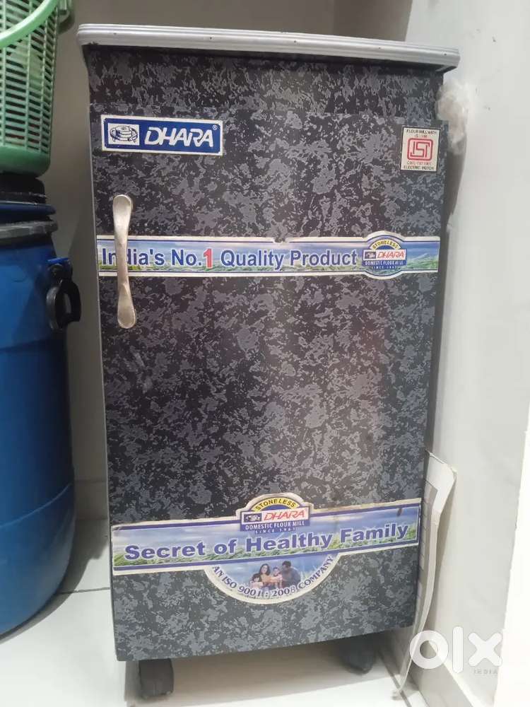 Domestic flour mill