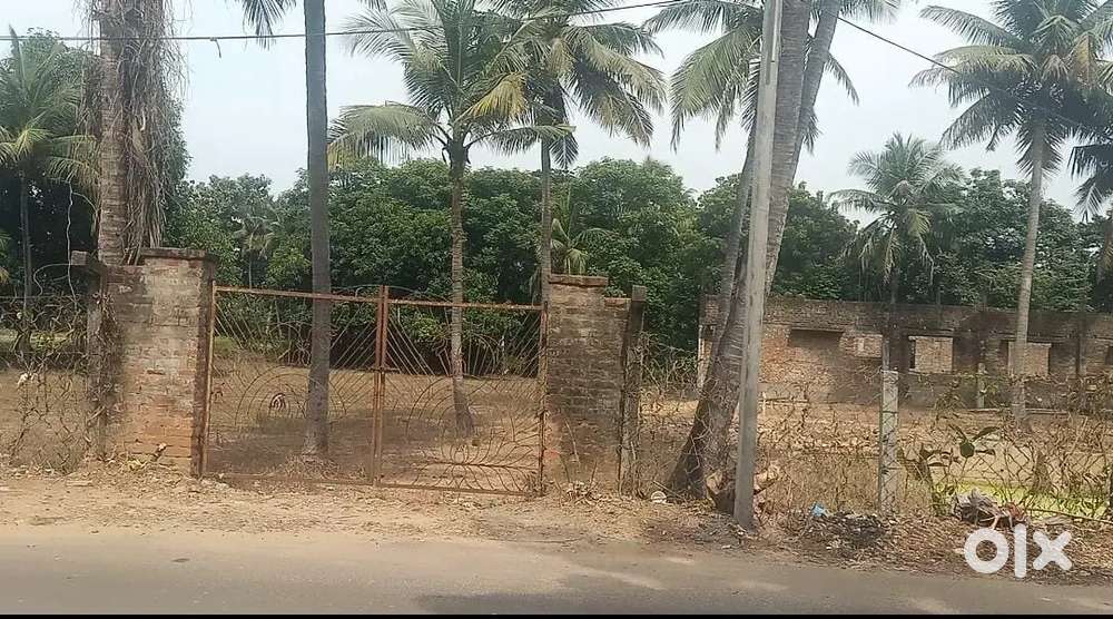 Plot for sale in vapathu