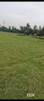 Selling my plot