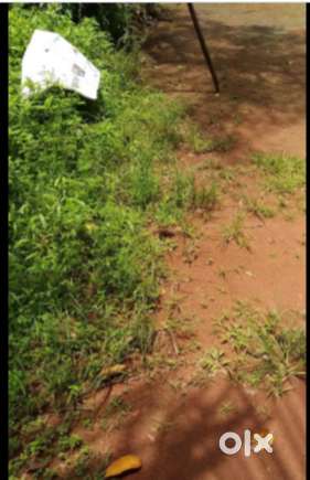 5 CENT LAND FOR SALES PAROPADI CALICUT