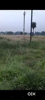Kisiko zamin lena hai to contact karo