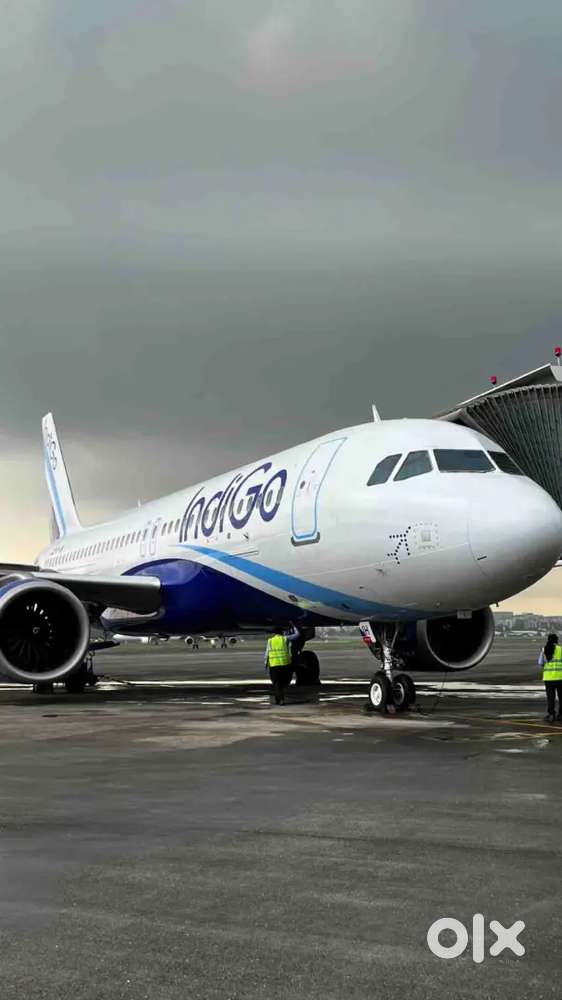Jobs in indigo airlines apply fast