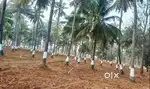 6534sqft for Sale JUst 399/- Persqft Managed Farmland Call now
