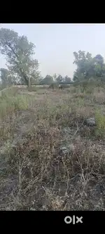 Plot seller