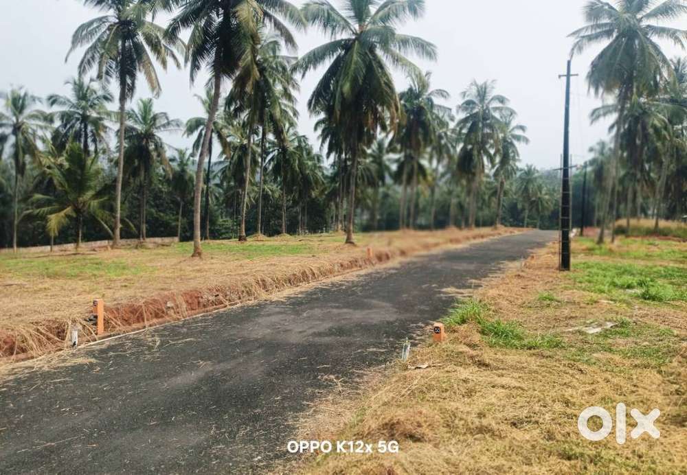 8 cent villa plot for sale in Viyyakurissi, Mannarkkad