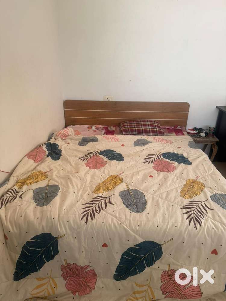 Looking for a female roomate ! semi furnished flat ! prme location