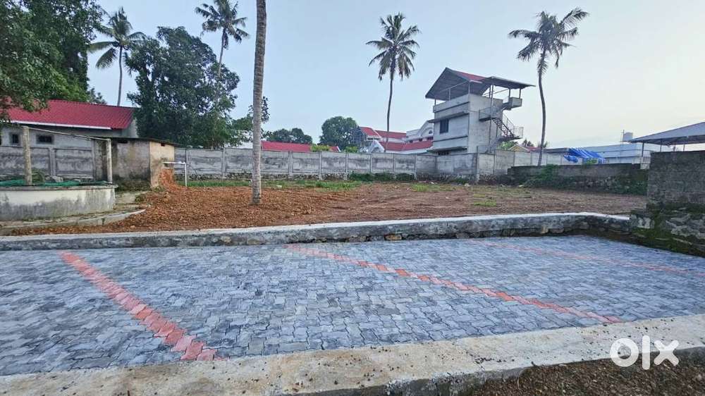 Basilica Church Near Angamaly Town Premium Plots 90% Loan Free Reg.