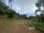 7 acres Land at karuvanchal Palakkayam Thattu