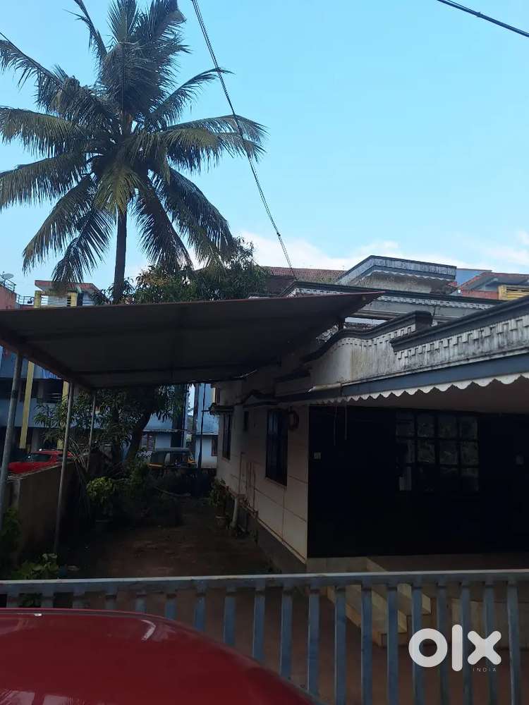 All hissan school neyar