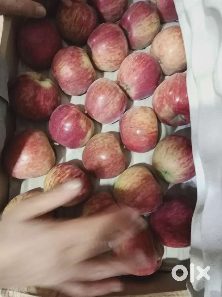 ജ്യൂസ്‌ മേക്കർ with ബർഗർ മേക്കർ അത്യാവശ്യം ആണ്