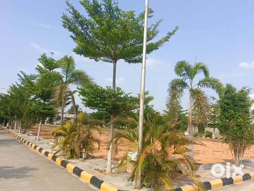 166 Sqryds Open Plot for Sale in Gated Community
